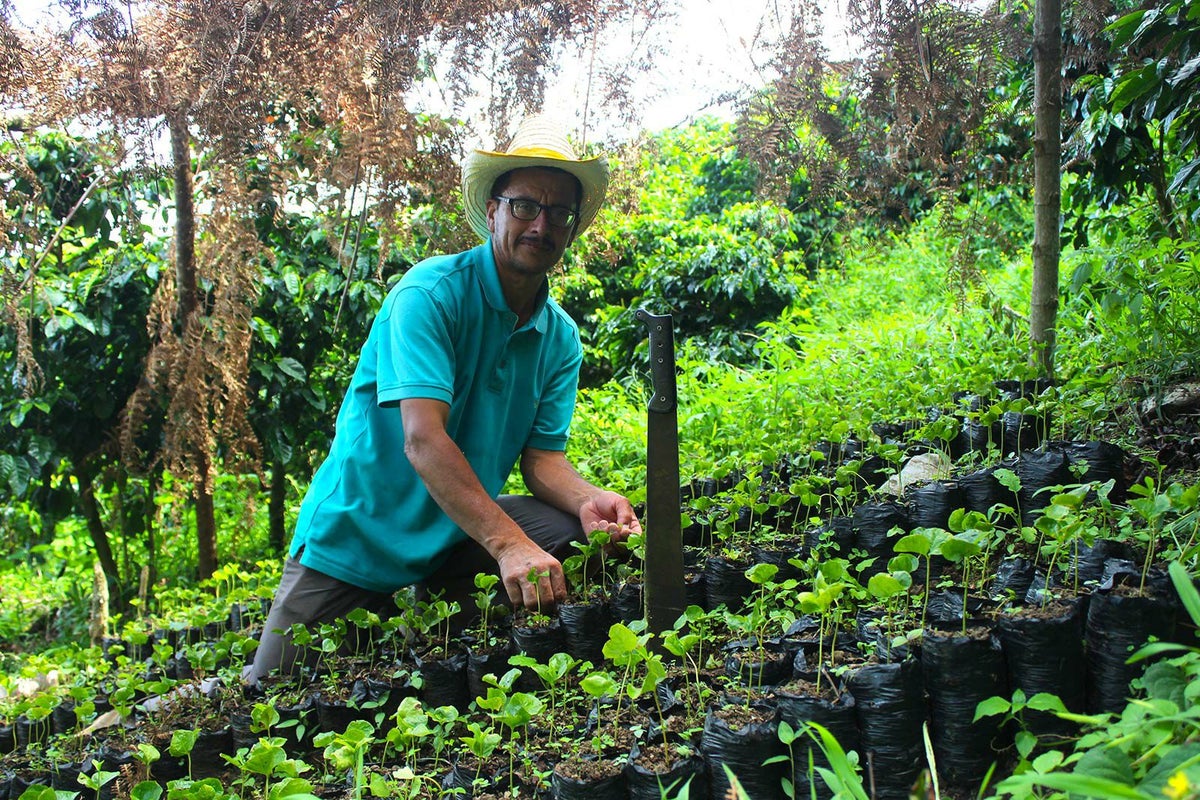 Honduras / Norman Castellanos Pacas（ホンジュラス / ノルマン・カステジャノス・パカス）