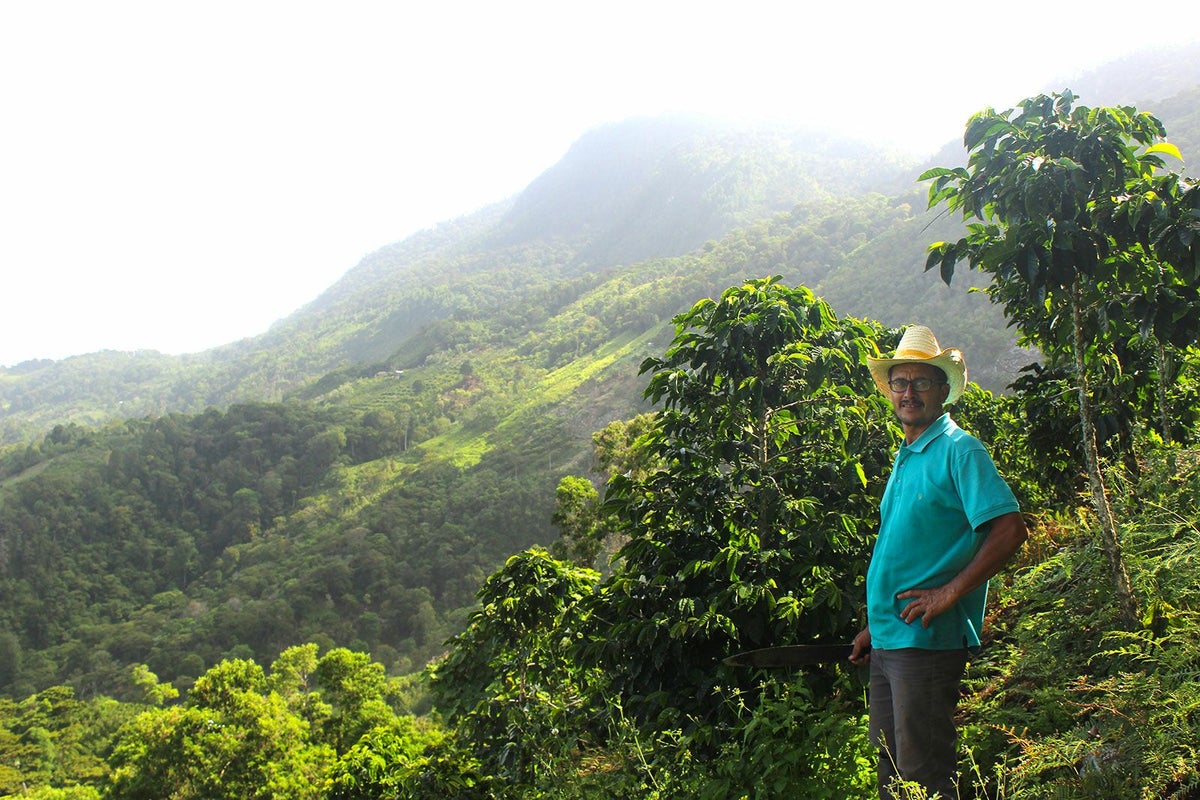 Honduras / Norman Castellanos Pacas（ホンジュラス / ノルマン・カステジャノス・パカス）