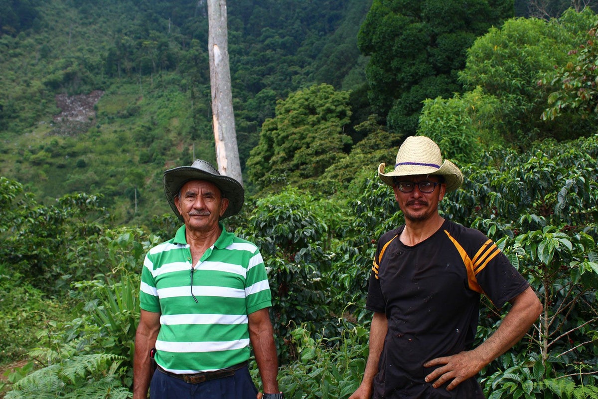Honduras / Norman Castellanos Pacas（ホンジュラス / ノルマン・カステジャノス・パカス）