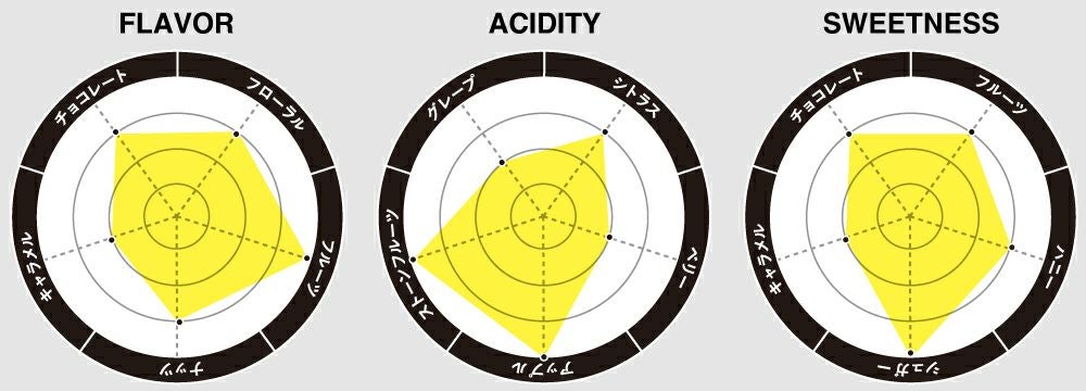 Honduras / Norman Castellanos Pacas（ホンジュラス / ノルマン・カステジャノス・パカス）