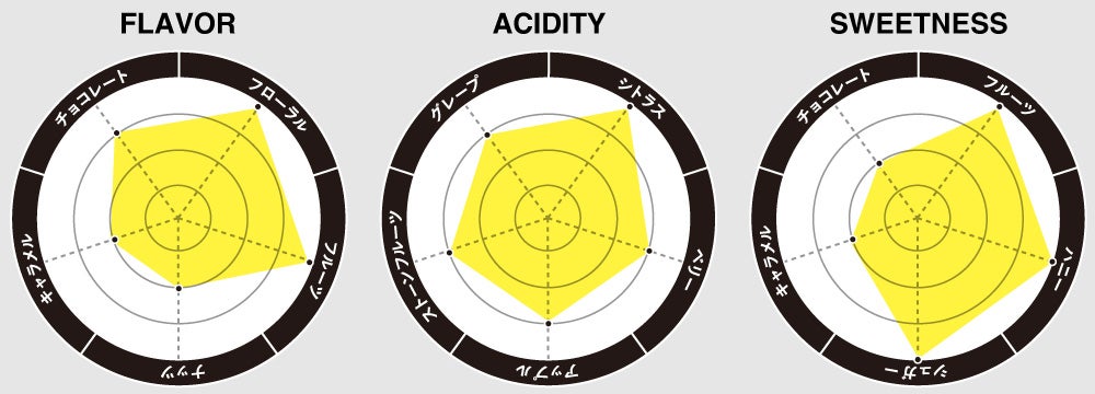 フレーバーチャート画像