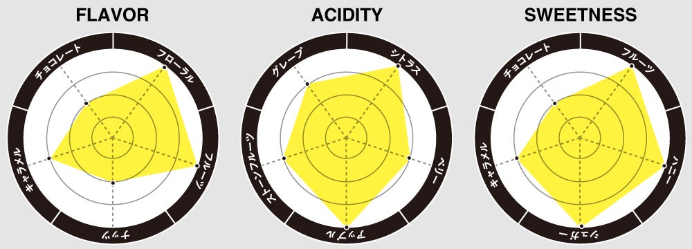フレーバーチャート画像