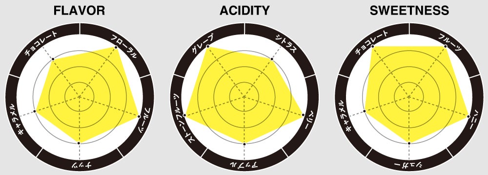 フレーバーチャート画像