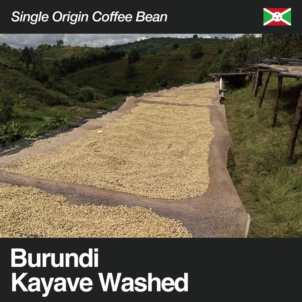 Burundi / Kayave Washed（ブルンジ / カヤヴェ・ウォッシュト） | THE